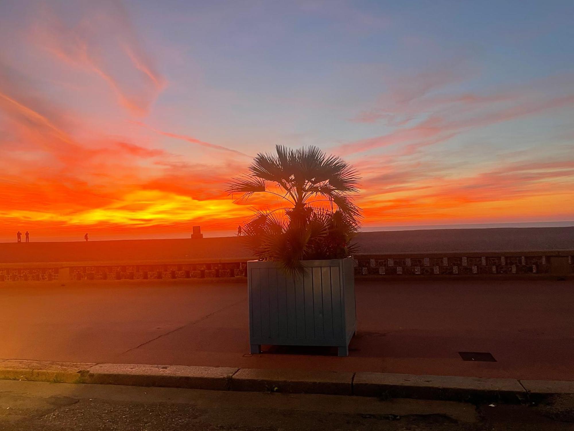 Petit Nid Douillet Lägenhet Dieppe Exteriör bild
